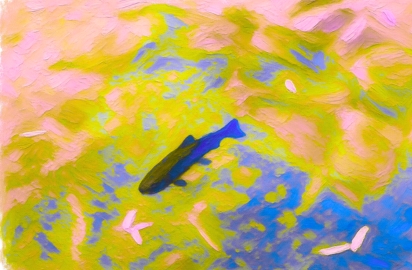 Illustration du concert