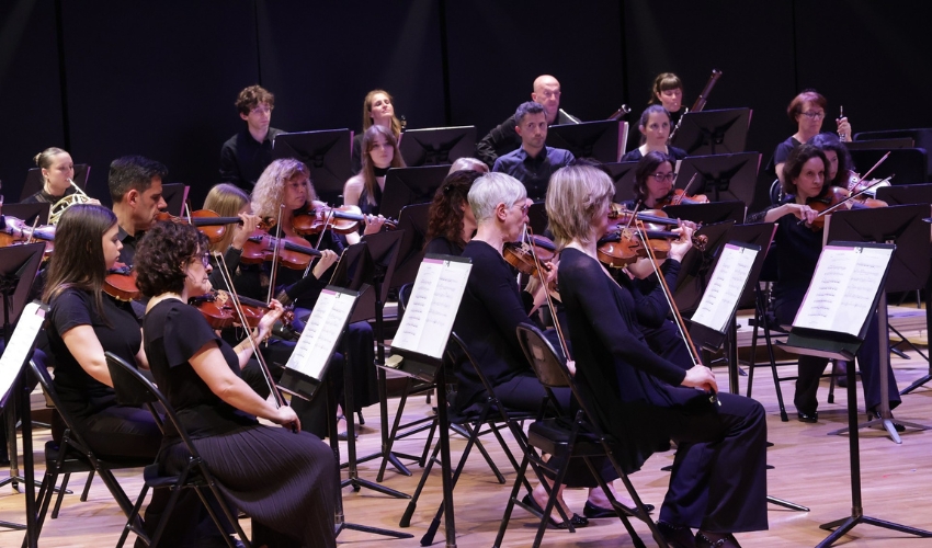 Illustration du concert